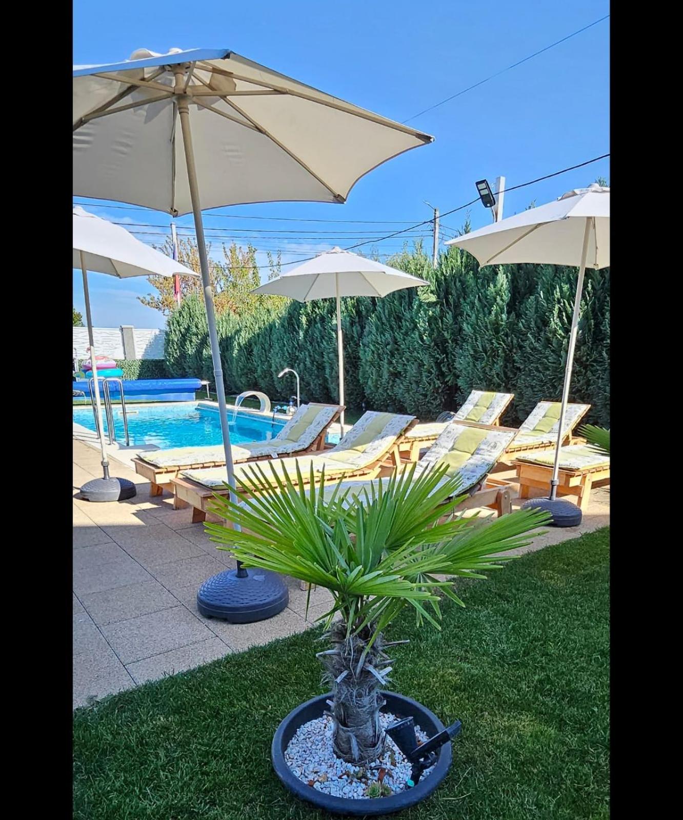 Danube Home Ostrovu Corbului Dış mekan fotoğraf