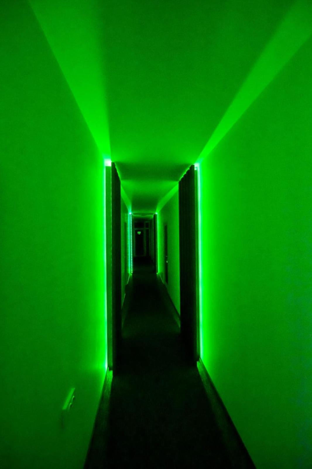 Danube Home Ostrovu Corbului Dış mekan fotoğraf