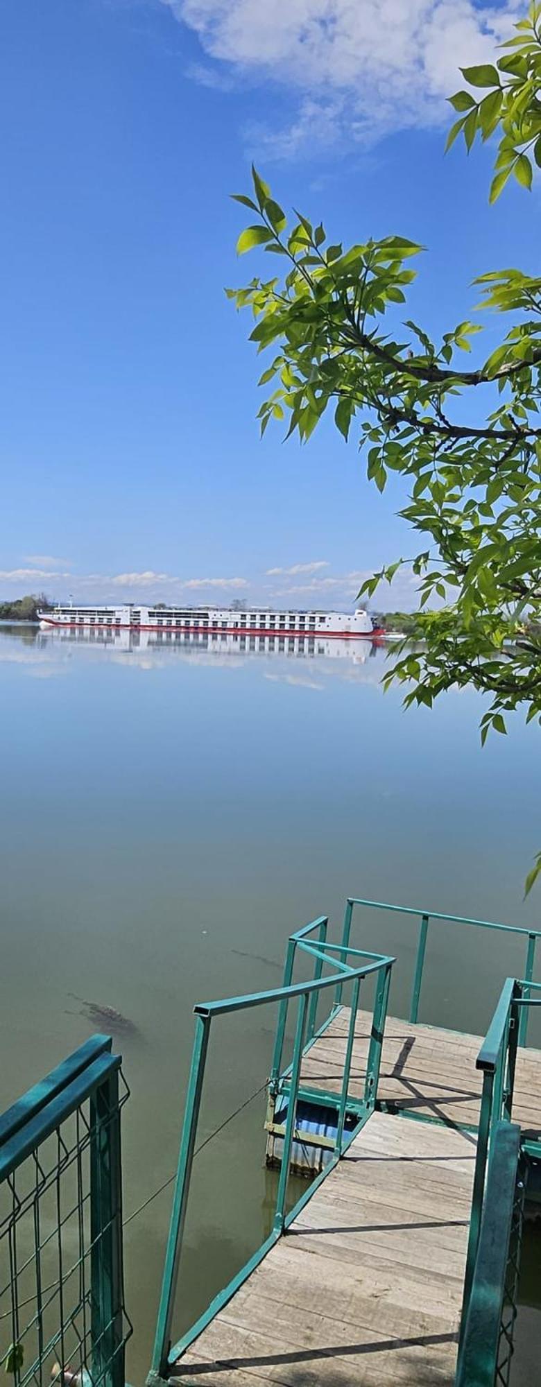 Danube Home Ostrovu Corbului Dış mekan fotoğraf