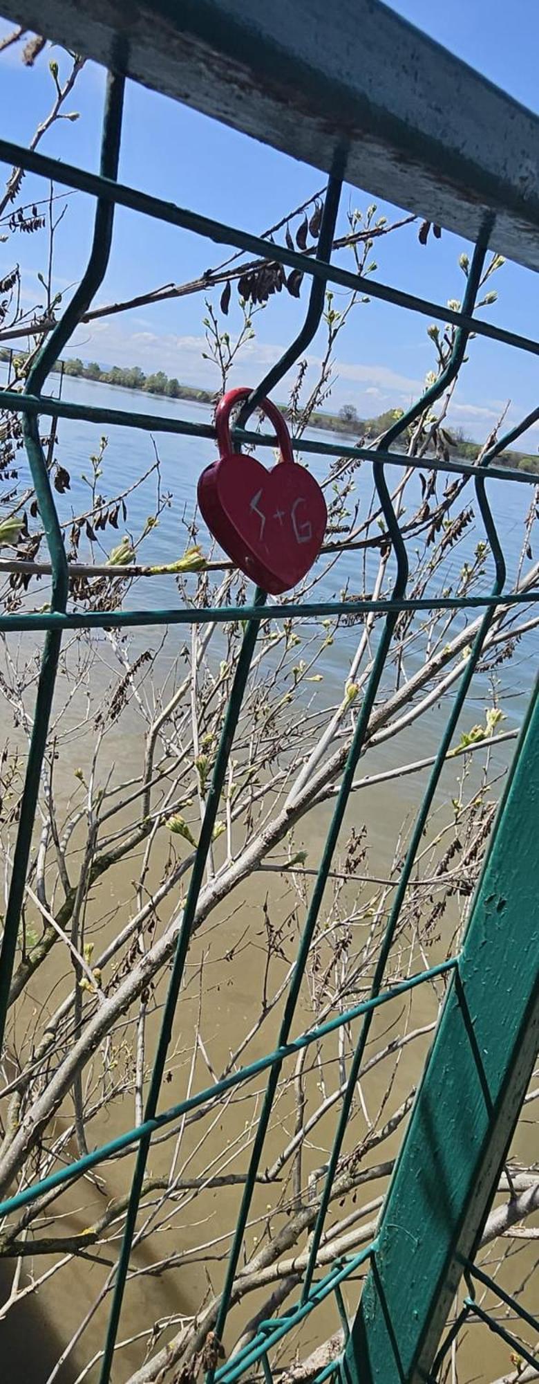 Danube Home Ostrovu Corbului Dış mekan fotoğraf